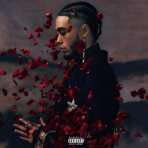 左妻右妾网站地址在线观看
