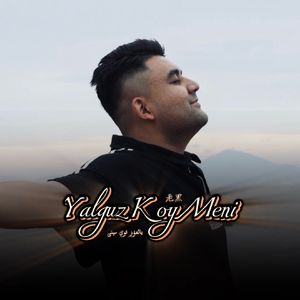 左妻右妾网站地址在线观看
