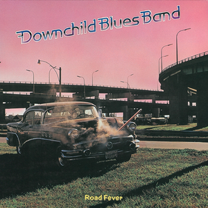 左妻右妾网站地址在线观看
