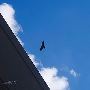 左妻右妾网站地址在线观看
